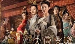 大唐荣耀直播在线观看,穿越时空，共赏盛世风华